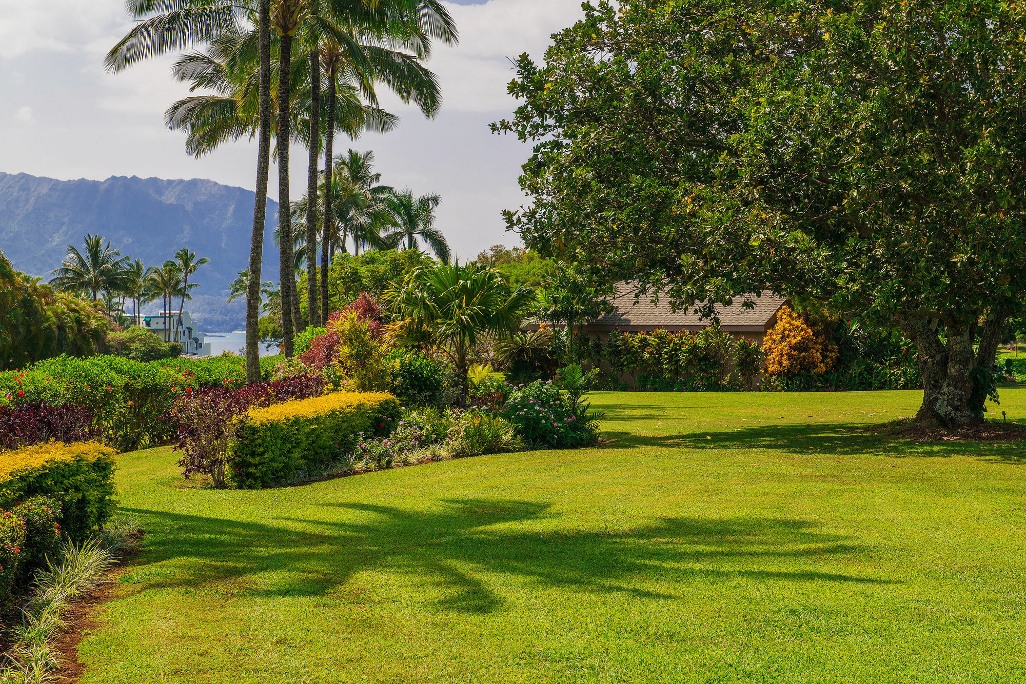 Princeville Oceanfront Villas Kauai Eksteriør bilde